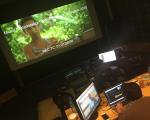 5.1 Dolby, THX, postproduction, sound audio