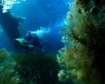 Sardinia ronny roskosch SEABOB Scuba Underwater Artur kade Participate ©® 2016